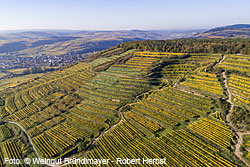 Weingut Bründlmayer