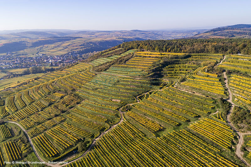 Weingut Bründlmayer Weingut Bründlmayer