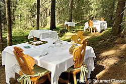 Taste nature / Forest edition am Rosengarten in Südtirol