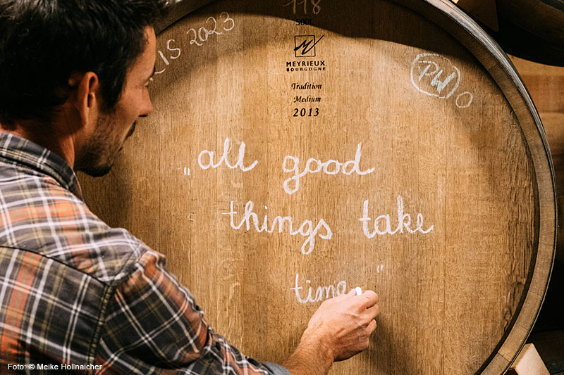 Der visionäre Weg des Winzers Thomas Niedermayr am Hof Gandberg Der visionäre Weg des Winzers Thomas Niedermayr am Hof Gandberg