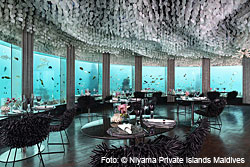Niyama Private Islands mit erstem Nikkei Menü unter Wasser