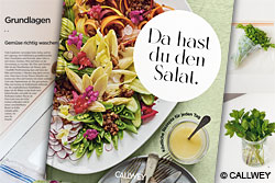 Buchvorstellung "Da hast du den Salat"