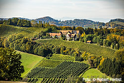 Familienweingut Sattlerhof in Gamlitz