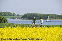 Von Kappeln aus die schönsten Themenrouten am Ostseefjord entdecken