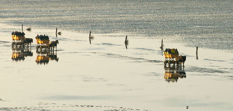 Badhotel Sternhagen Cuxhaven